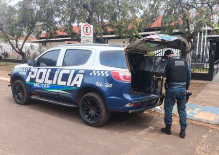 IVINHEMA: Polícia Militar prende homem por descumprimento de medida protetiva e ameaça