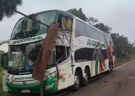 Polícia diz que motorista assumiu elevado risco em acidente que terminou em duas mortes