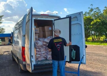 Erros de português revelam carga de 1.345 quilos de pescado ilegal
