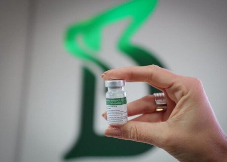 Com 816 casos prováveis, MS recebe 7,8 mil doses de vacina contra a dengue