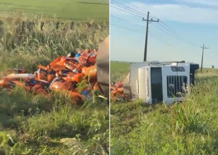 Caminhão carregado com ração tomba na MS-480  entre MS-276 e usina Sérgio Motta