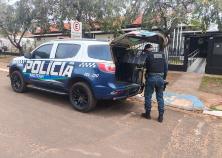IVINHEMA: Polícia Militar conduz mulher por perturbação do sossego, desacato e ato obsceno