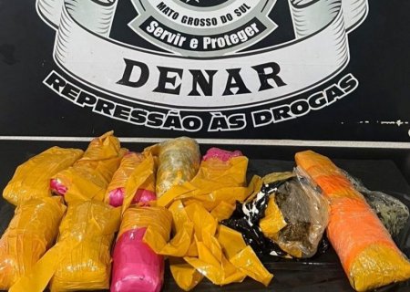 Skunk é encontrado escondido em galões enviados por transportadora