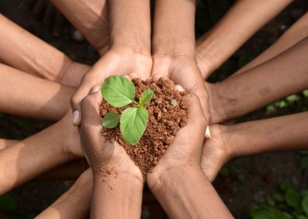 IVINHEMA: Semana do Meio Ambiente mobiliza escolas e instituições com ações educativas e premiações