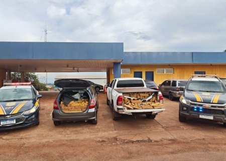 Maconha apreendida em veículos pesou mais de 2,5t e um motorista foi preso