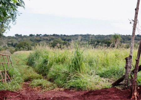 Corpo de idoso é encontrado dentro de saco em área de brejo