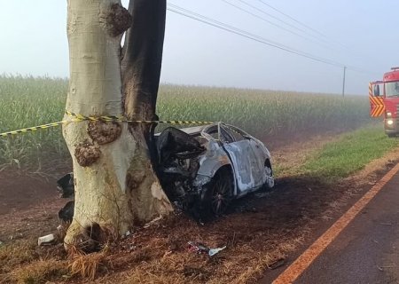 Batida em árvore deixa dois mortos carbonizados e vereador ferido em MS