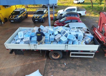 Quase 5t de maconha são apreendidas em meio a carga de sementes de girassol