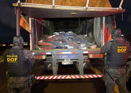 Polícia encontra 2,1 toneladas de maconha ocultas em semirreboque carregado com milho
