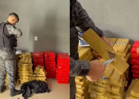 Mulher é presa com 486 kg de maconha escondidos nos fundos da casa