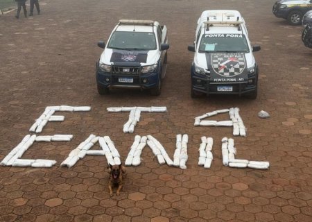 Polícia apreende 67 quilos de skunk escondidos em tanques de carreta