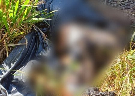 Corpo carbonizado é encontrado em mata e polícia investiga execução