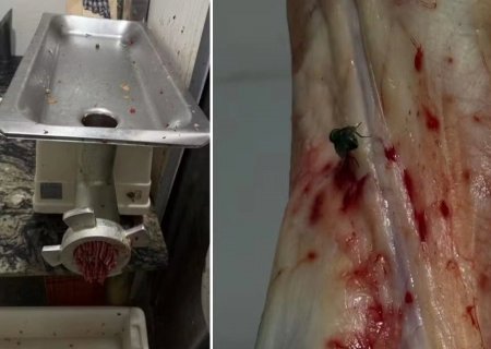 Açougue é interditado e quase 476 kg de carnes são descartados em MS
