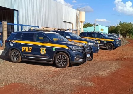 Polícia estoura galpão do tráfico e apreende toneladas de maconha em Dourados