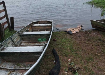 Polícia desarticula grupo investigado por crimes ambientais e abigeato 
