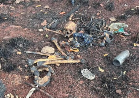 Incêndio em mata revela ossada humana e polícia tenta identificação