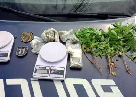 Suspeito de plantar maconha em terreno baldio é preso