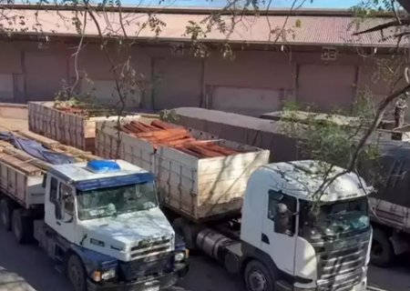 Laudo da PF confirma que madeira apreendida não tinha cocaína