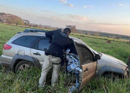 Operação contra o crime organizado apreende dezenas de veículos e prende 16 pessoas