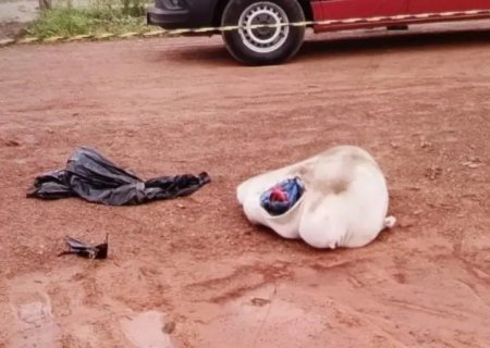 Corpo é encontrado dentro de saco de lixo, atrás de motel, em MS