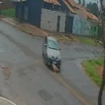 VÍDEO: Motorista atropela cachorro e foge sem prestar socorro em MS