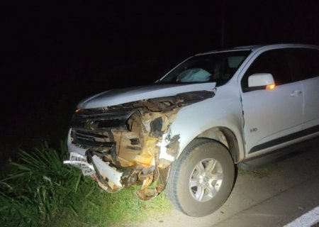 Caminhonete bate em anta na MS-276 entre Batayporã e Anaurilândia