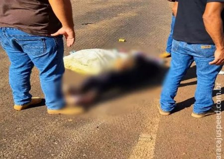 Coletora de recicláveis morre atropelada por carreta na BR-267