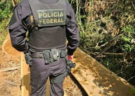 Força-tarefa combate desmatamento em terra indígena