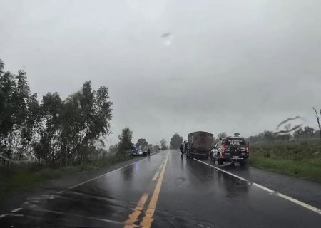 Polícia Militar Rural recupera 20 bovinos, prende 04 homens suspeitos e apreende duas armas de fogo em MS