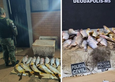 DEODÁPOLIS: PMA apreende mais de 38 quilos de pescado irregular e aplica multas que totalizam R$ 88 mil