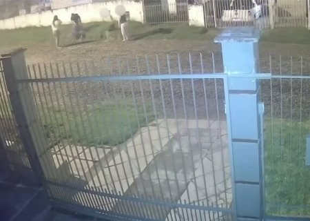 Jovem de 14 anos imobiliza ladrão com mata-leão por 15 minutos