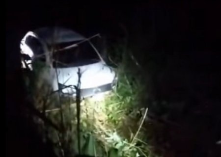Motorista perde controle após atropelar tamanduá e carro vai parar em área alagada na BR-060